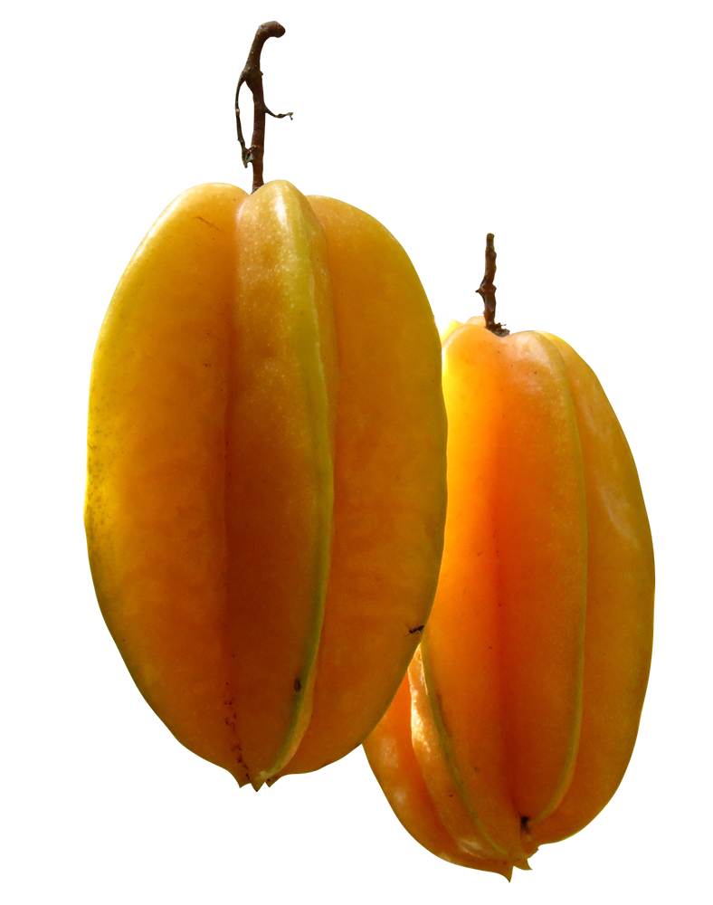 carambola, carambola png, carambola png image, carambola transparent png image, carambola png full hd images download